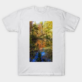 Fall Trees T-Shirt